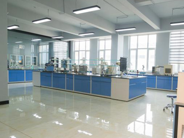 ʵ��������